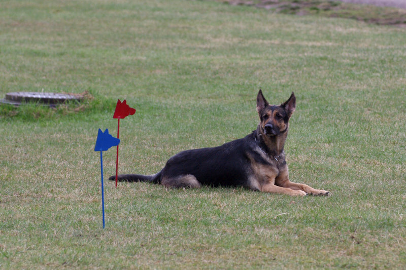 8.5.2010 048c.jpg